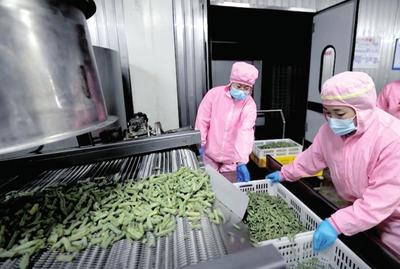 資本入局，電商煥新 生態(tài)循環(huán)農業(yè)與農村電商共繪鄉(xiāng)村振興新圖景